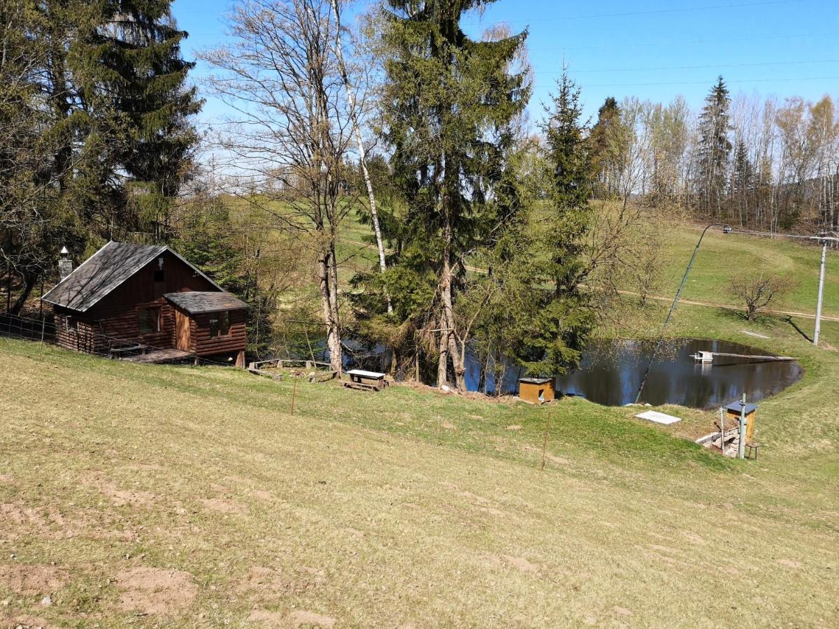 Srub Na Svahu Sjezdovky V Radvanicich Radvanice  Buitenkant foto