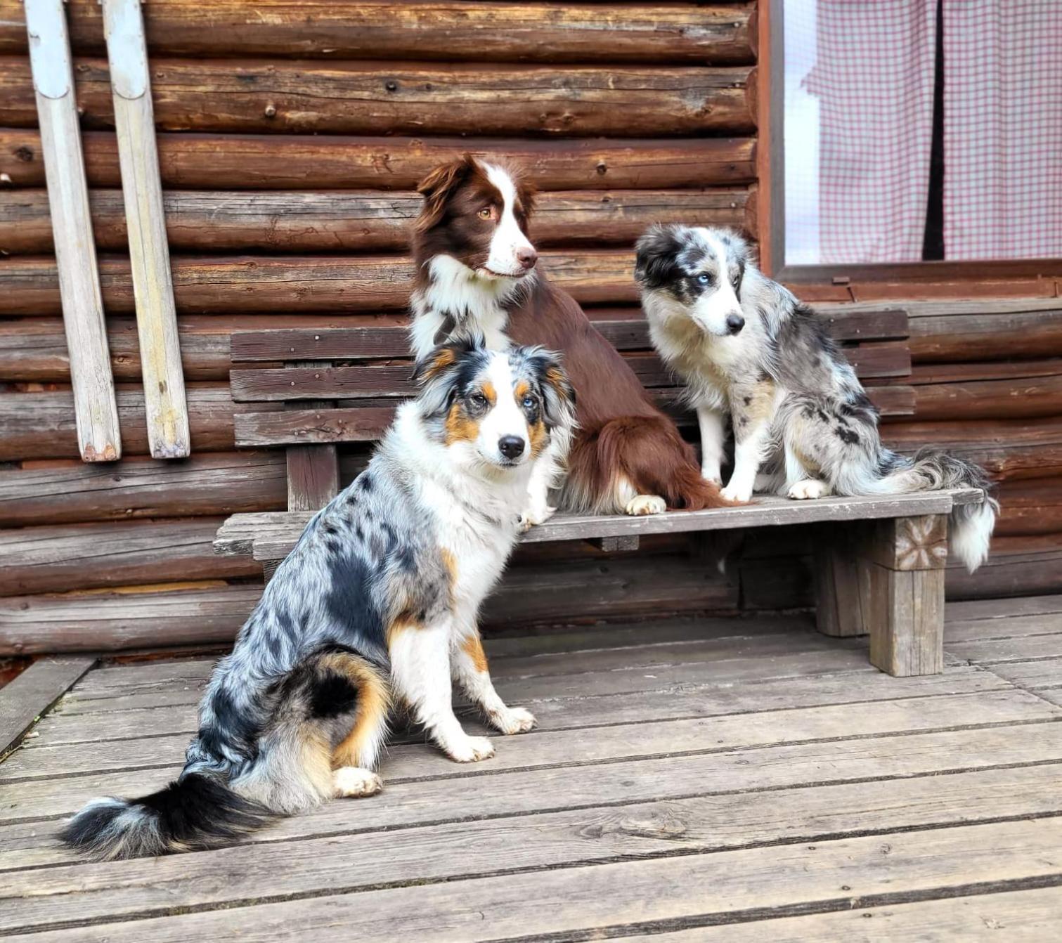 Srub Na Svahu Sjezdovky V Radvanicich Radvanice  Buitenkant foto